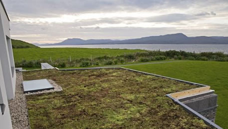 Green Roofs