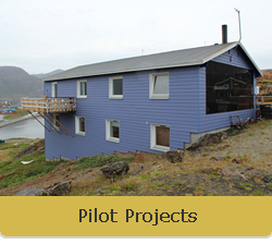 NEES - Pilot Projects